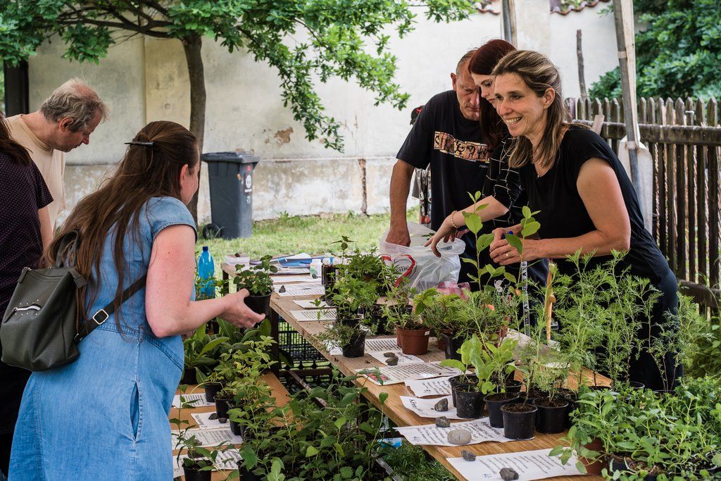 Víkend otevřených zahrad na Jiráskově náměstí (foto: M. Říský, 12.6.2021)