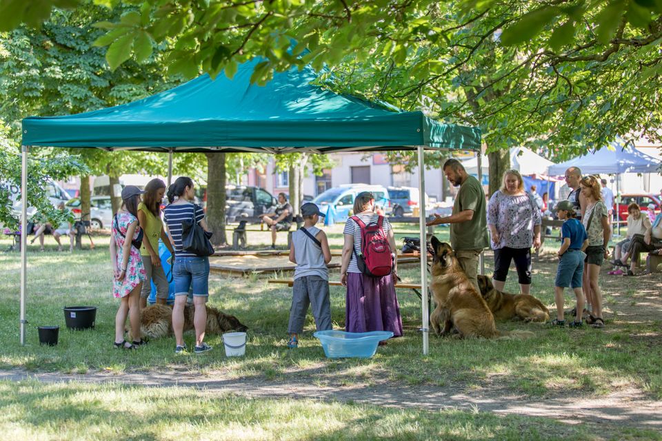 Olympiáda na Jiráskově náměstí (foto: Vít Štaif, 17.6.2021)