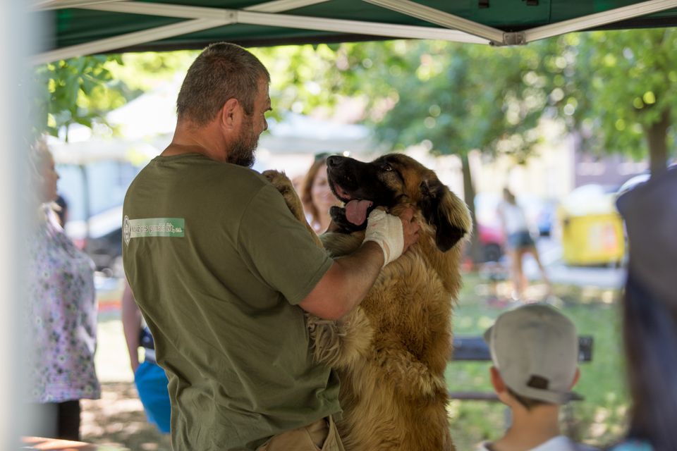 Olympiáda na Jiráskově náměstí (foto: Vít Štaif, 17.6.2021)