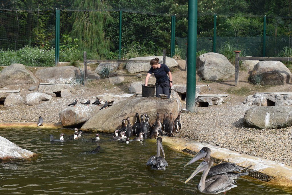 Plzeň pozvala děti z Dětského domova Domino do zoo (foto: A. Jarošová, 21.7.2021)