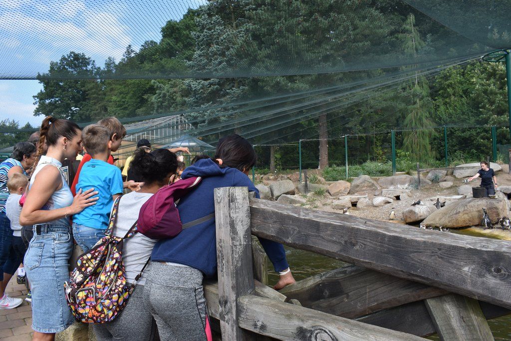 Plzeň pozvala děti z Dětského domova Domino do zoo (foto: A. Jarošová, 21.7.2021)