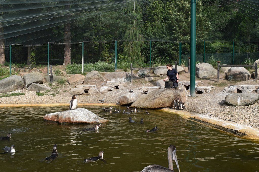 Plzeň pozvala děti z Dětského domova Domino do zoo (foto: A. Jarošová, 21.7.2021)