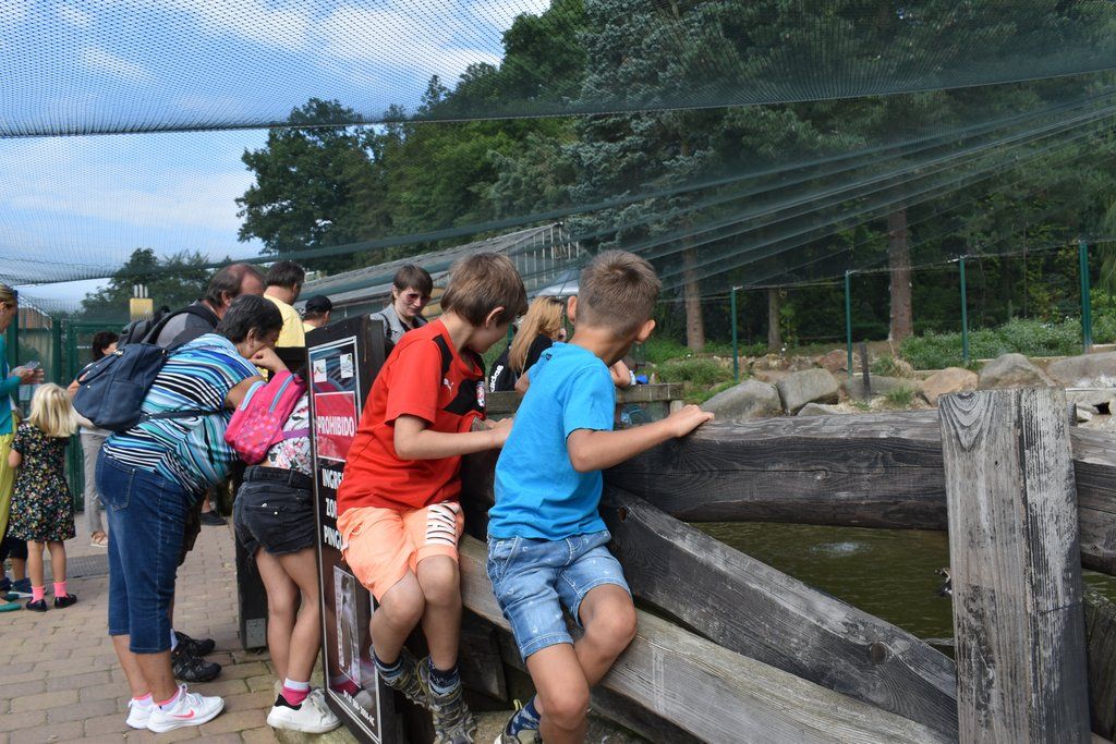 Plzeň pozvala děti z Dětského domova Domino do zoo (foto: A. Jarošová, 21.7.2021)