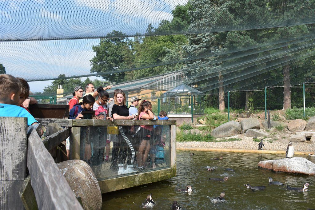 Plzeň pozvala děti z Dětského domova Domino do zoo (foto: A. Jarošová, 21.7.2021)