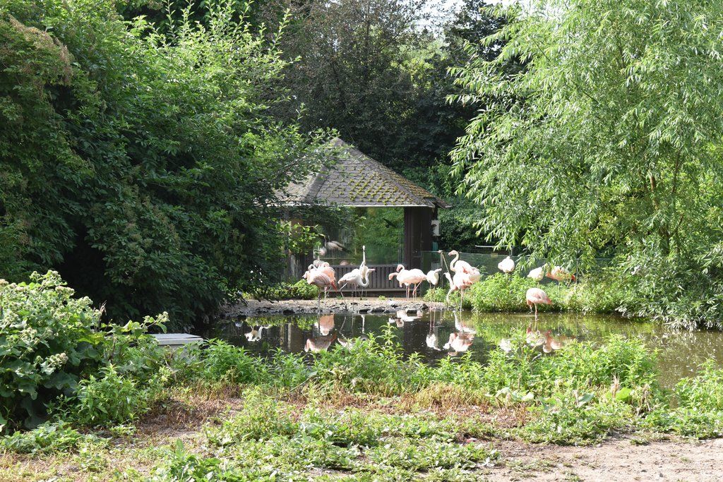 Plzeň pozvala děti z Dětského domova Domino do zoo (foto: A. Jarošová, 21.7.2021)