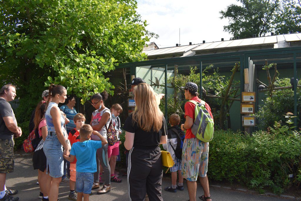 Plzeň pozvala děti z Dětského domova Domino do zoo (foto: A. Jarošová, 21.7.2021)