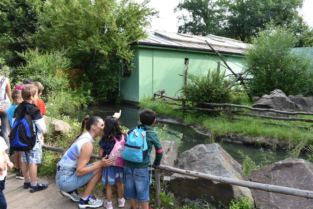 Plzeň pozvala děti z Dětského domova Domino do zoo (foto: A. Jarošová, 21.7.2021)