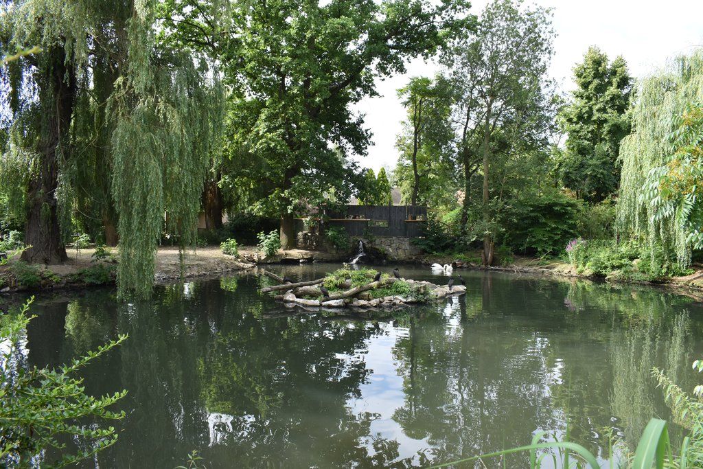 Plzeň pozvala děti z Dětského domova Domino do zoo (foto: A. Jarošová, 21.7.2021)