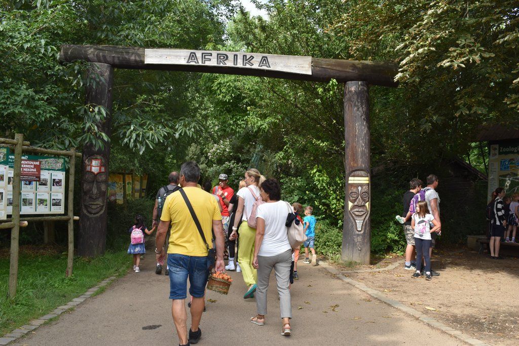 Plzeň pozvala děti z Dětského domova Domino do zoo (foto: A. Jarošová, 21.7.2021)