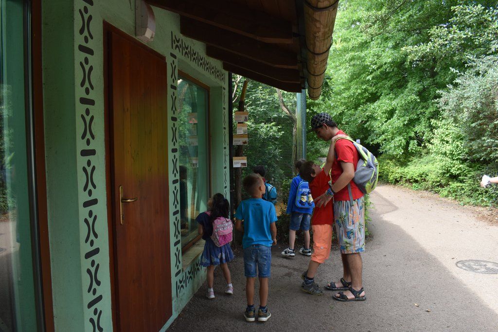 Plzeň pozvala děti z Dětského domova Domino do zoo (foto: A. Jarošová, 21.7.2021)