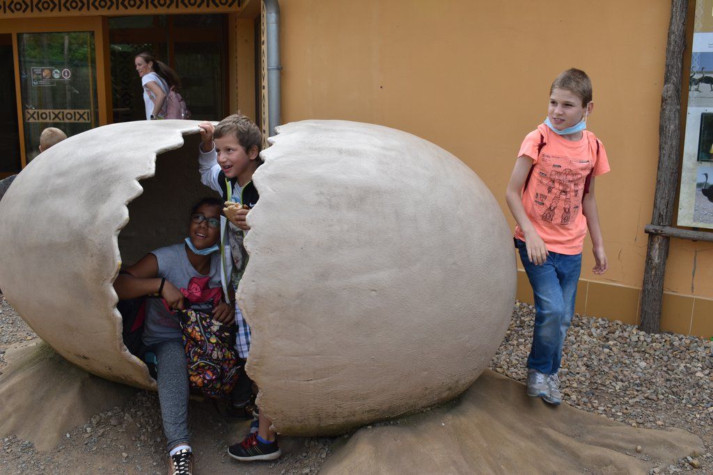 Plzeň pozvala děti z Dětského domova Domino do zoo (foto: A. Jarošová, 21.7.2021)