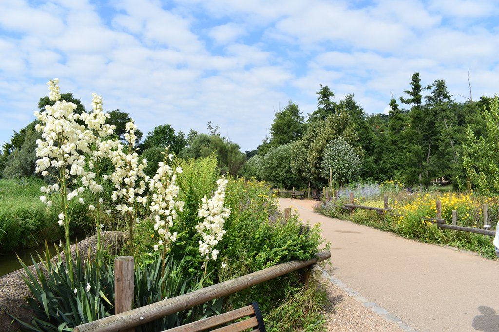Plzeň pozvala děti z Dětského domova Domino do zoo (foto: A. Jarošová, 21.7.2021)