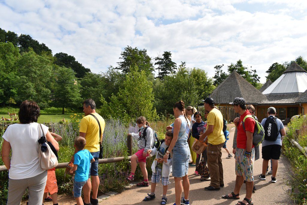Plzeň pozvala děti z Dětského domova Domino do zoo (foto: A. Jarošová, 21.7.2021)