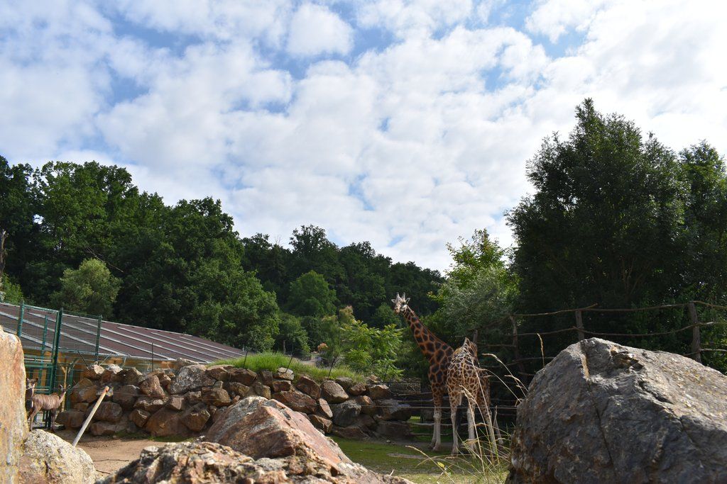 Plzeň pozvala děti z Dětského domova Domino do zoo (foto: A. Jarošová, 21.7.2021)