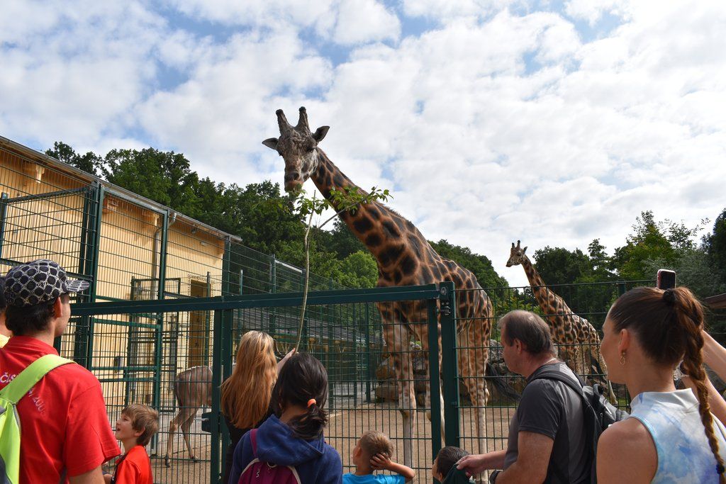 Plzeň pozvala děti z Dětského domova Domino do zoo (foto: A. Jarošová, 21.7.2021)