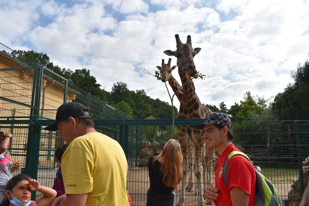 Plzeň pozvala děti z Dětského domova Domino do zoo (foto: A. Jarošová, 21.7.2021)