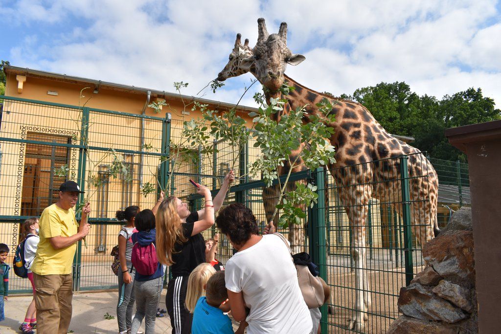 Plzeň pozvala děti z Dětského domova Domino do zoo