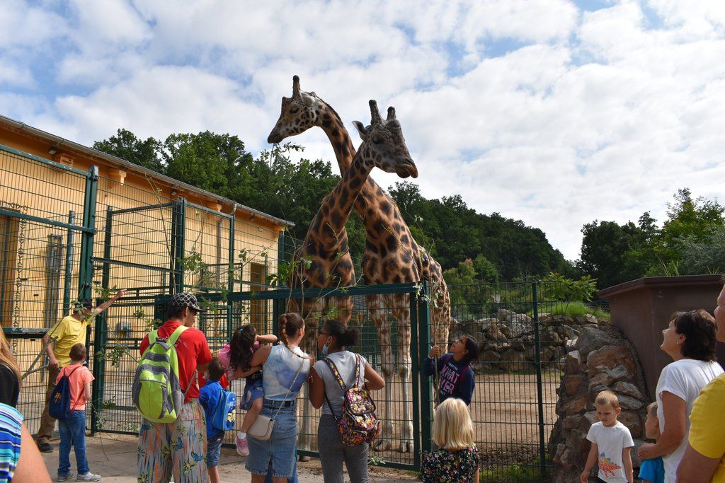 Plzeň pozvala děti z Dětského domova Domino do zoo (foto: A. Jarošová, 21.7.2021)