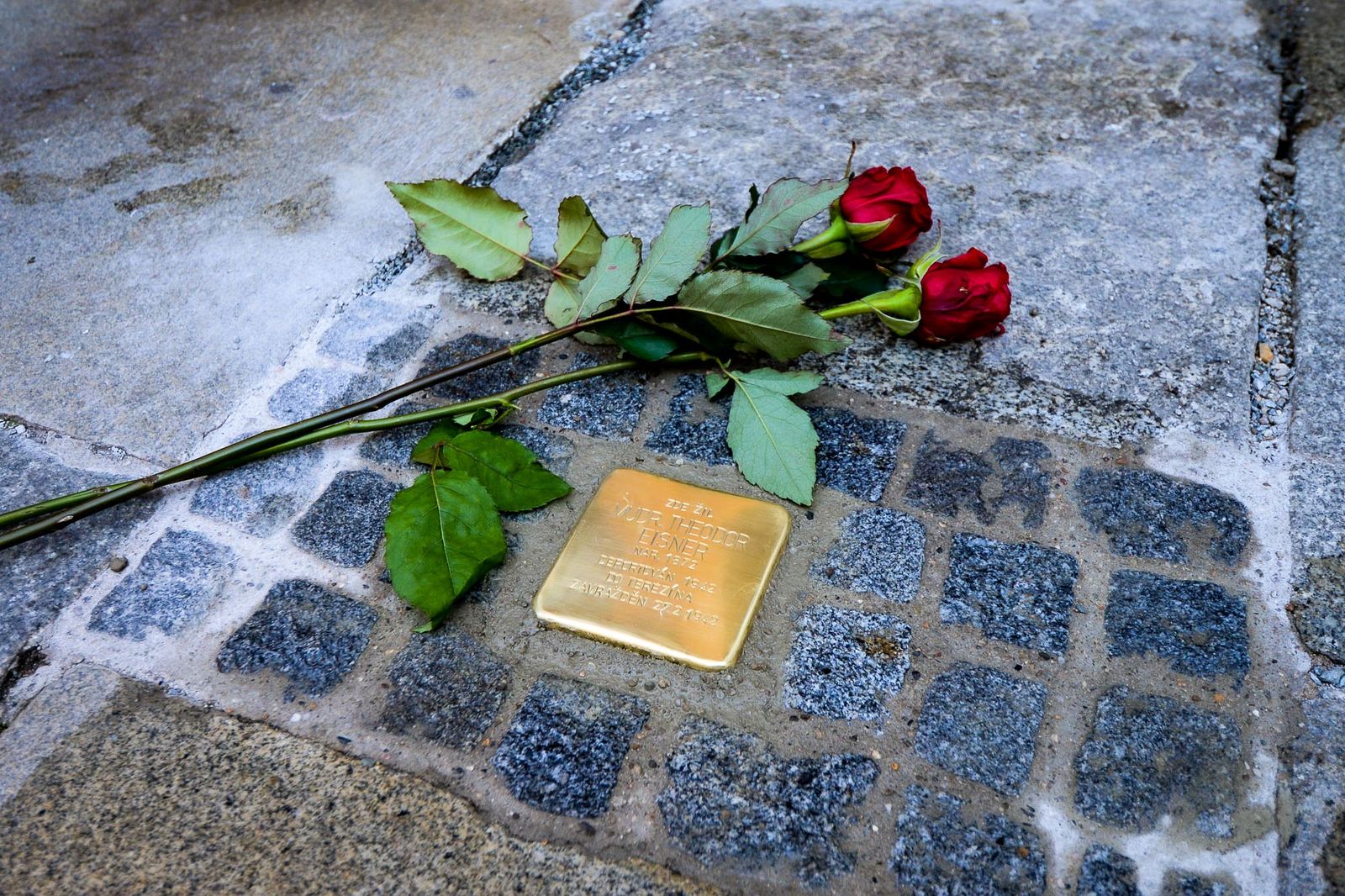 V Plzni připomíná oběti holocaustu 20 nových kamenů zmizelých, takzvaných Stolpersteine (foto: E. Kriegerová / M. Pecuch, 3.9.2021)