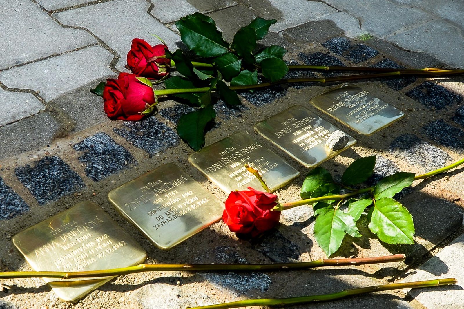 V Plzni připomíná oběti holocaustu 20 nových kamenů zmizelých, takzvaných Stolpersteine (foto: E. Kriegerová / M. Pecuch, 3.9.2021)