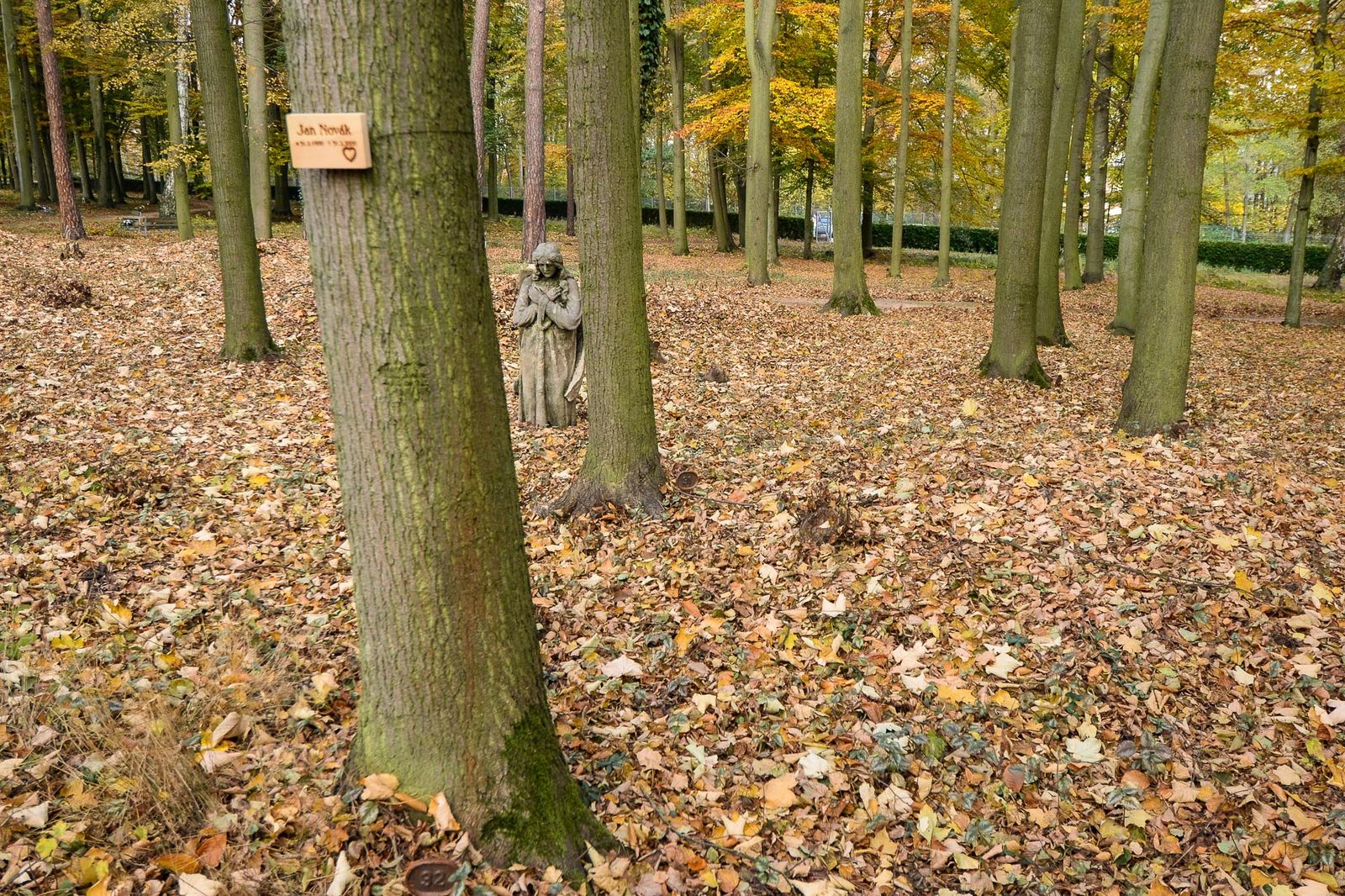 Plzeň nabízí nový způsob pohřbívání, na Ústředním hřbitově lze ostatky uložit ke kořenům (foto: M. Pecuch, 26.10.2021)