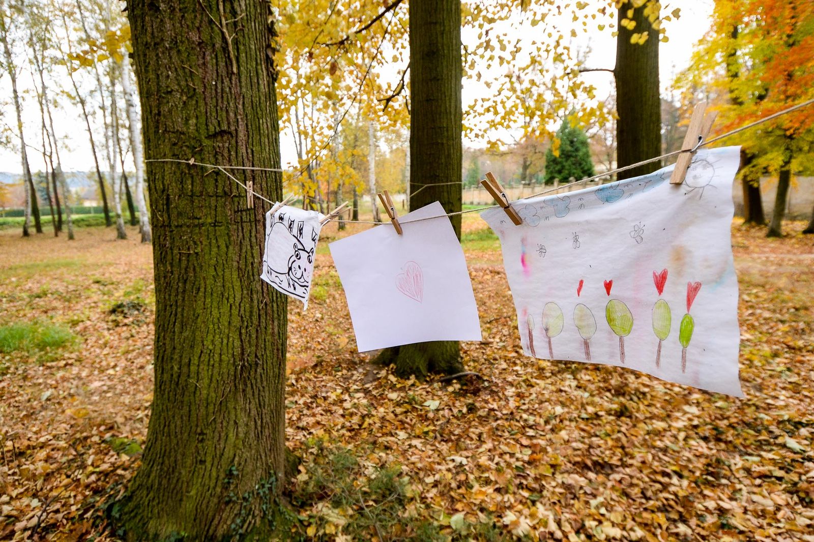 Plzeň nabízí nový způsob pohřbívání, na Ústředním hřbitově lze ostatky uložit ke kořenům (foto: M. Pecuch, 26.10.2021)