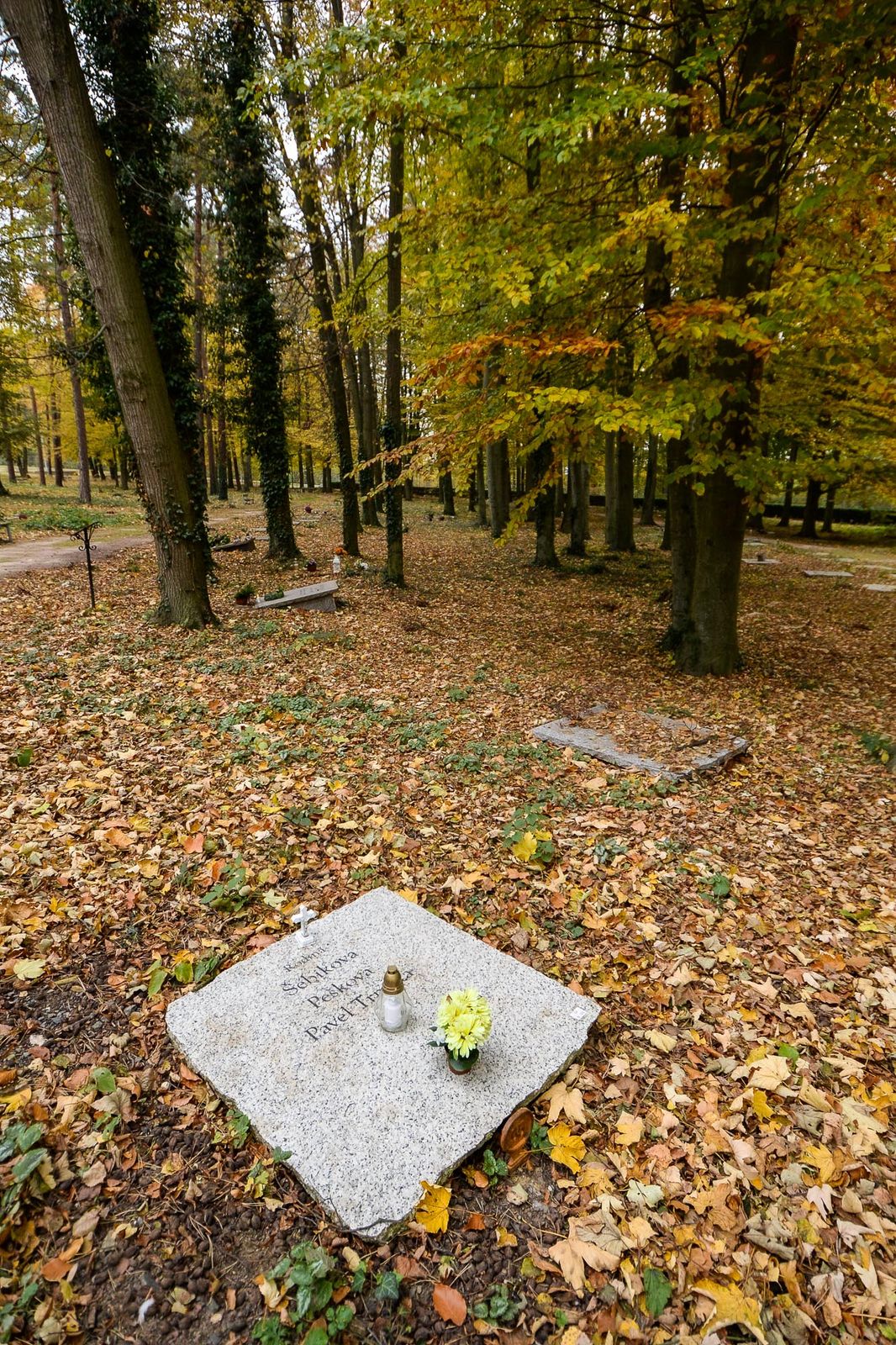 Plzeň nabízí nový způsob pohřbívání, na Ústředním hřbitově lze ostatky uložit ke kořenům (foto: M. Pecuch, 26.10.2021)
