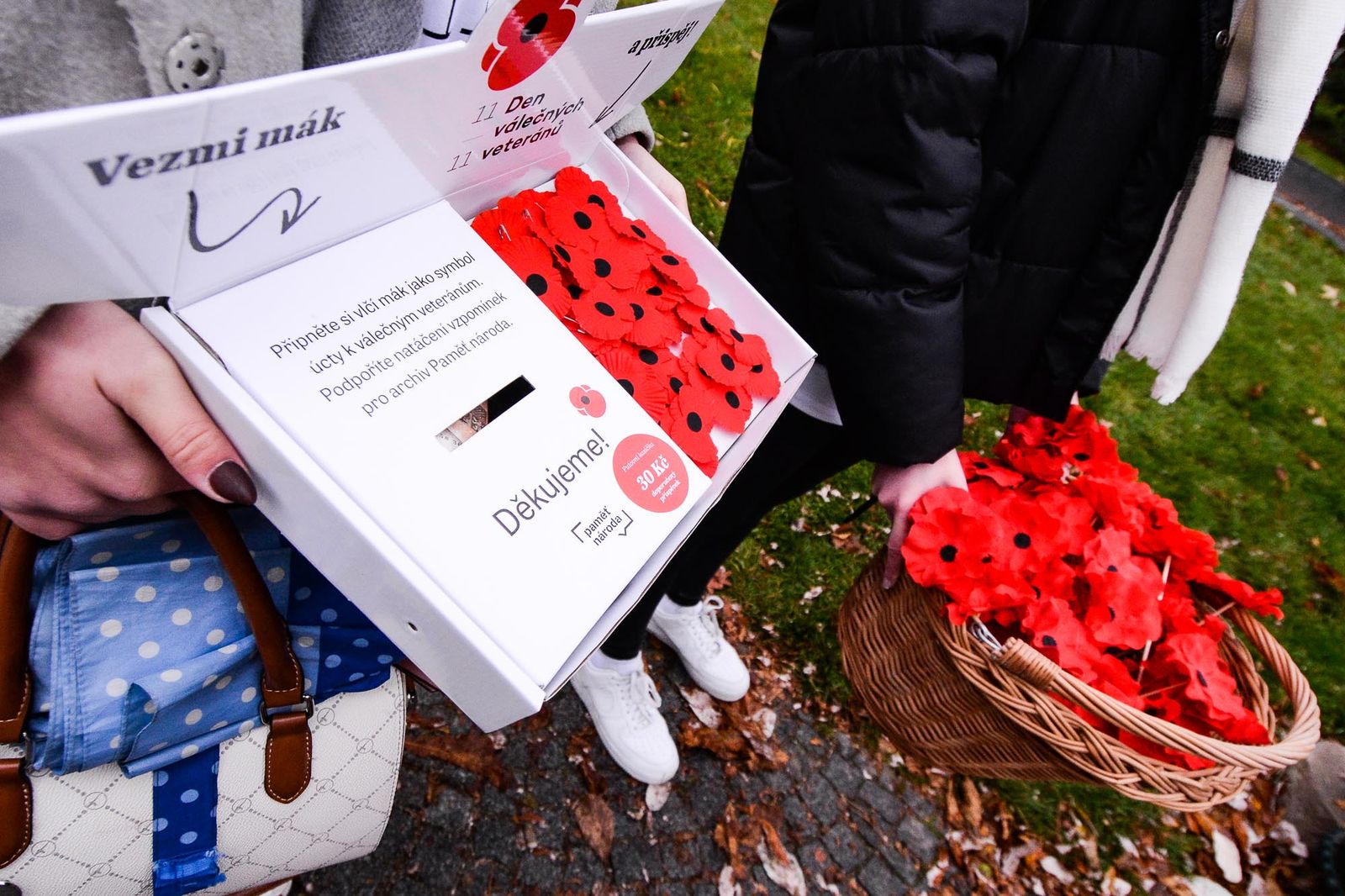 Den válečných veteránů (foto: M. Pecuch, 11.11.2021)