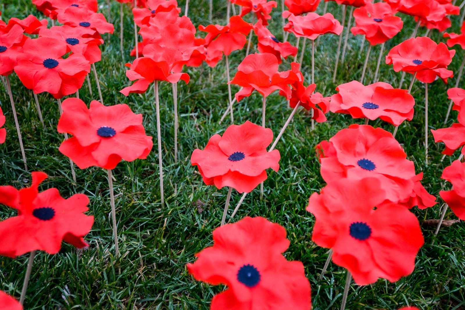 Den válečných veteránů (foto: M. Pecuch, 11.11.2021)