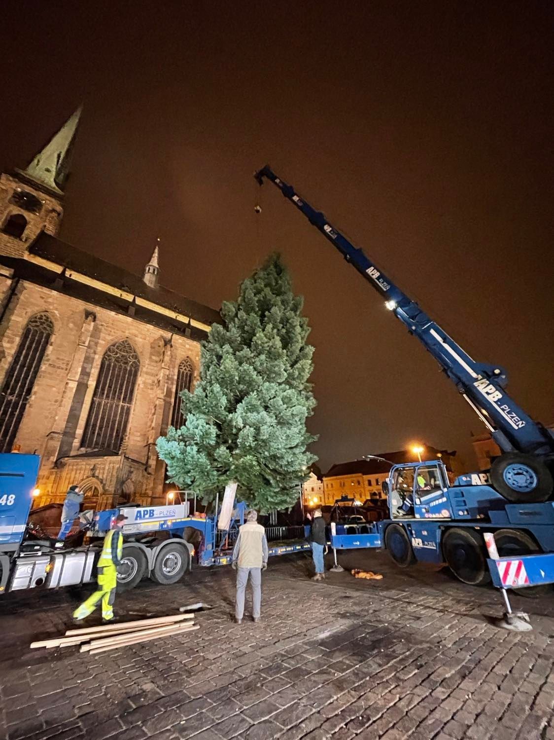 Vánoční strom na náměstí Republiky (foto: Jana Apolínová, 12.11.2021)