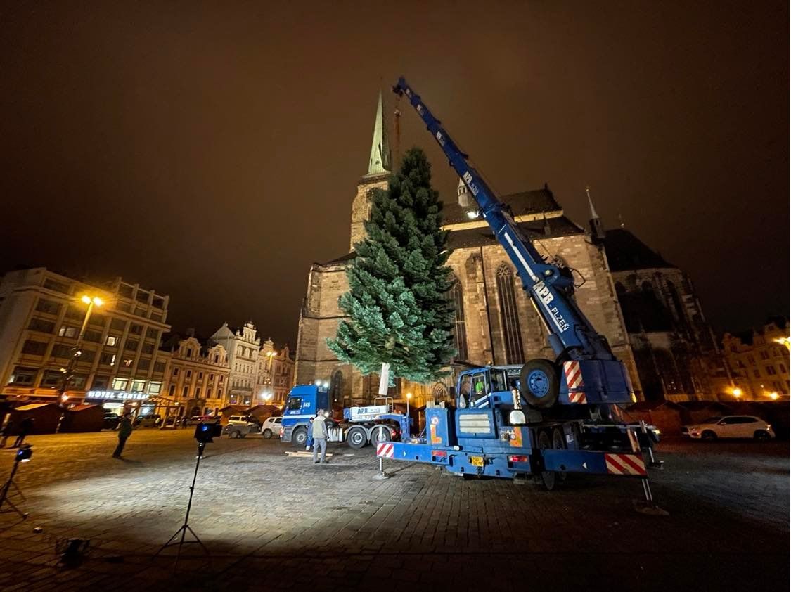 Vánoční strom na náměstí Republiky (foto: Jana Apolínová, 12.11.2021)