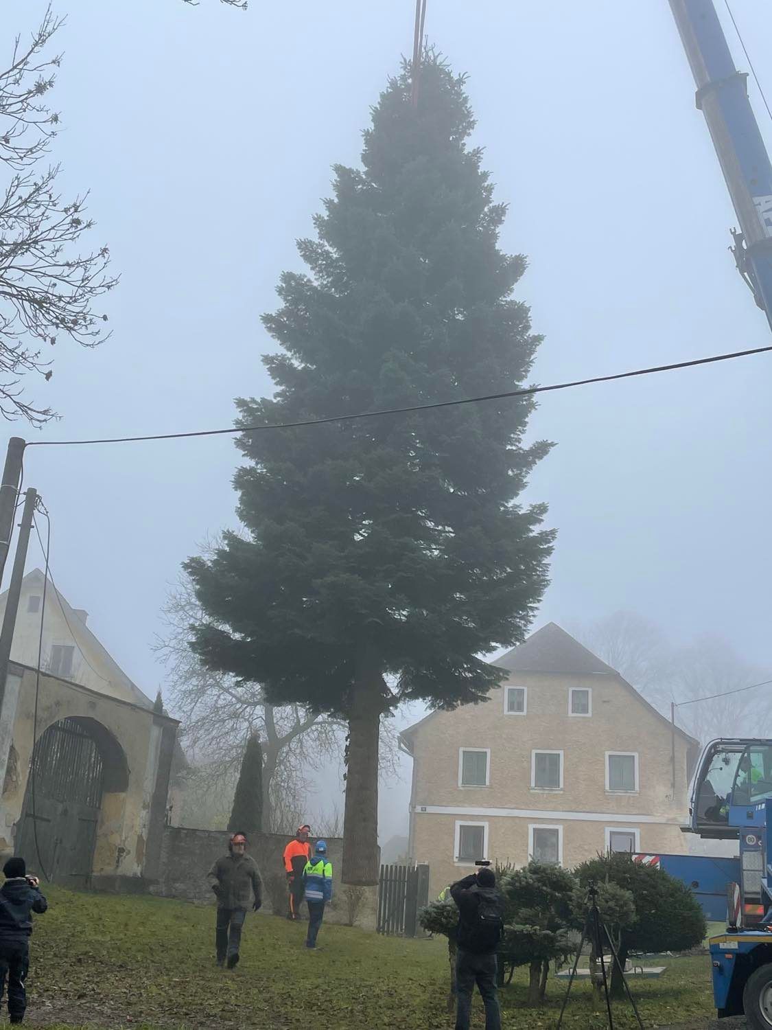 Vánoční strom na náměstí Republiky (foto: Jana Apolínová, 12.11.2021)