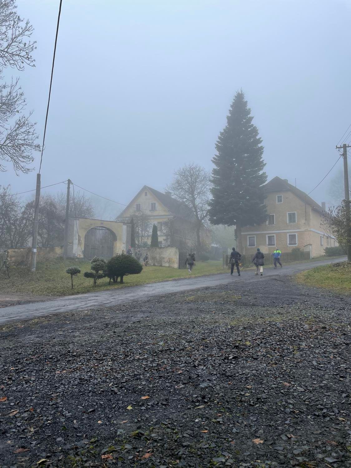 Vánoční strom na náměstí Republiky (foto: Jana Apolínová, 12.11.2021)