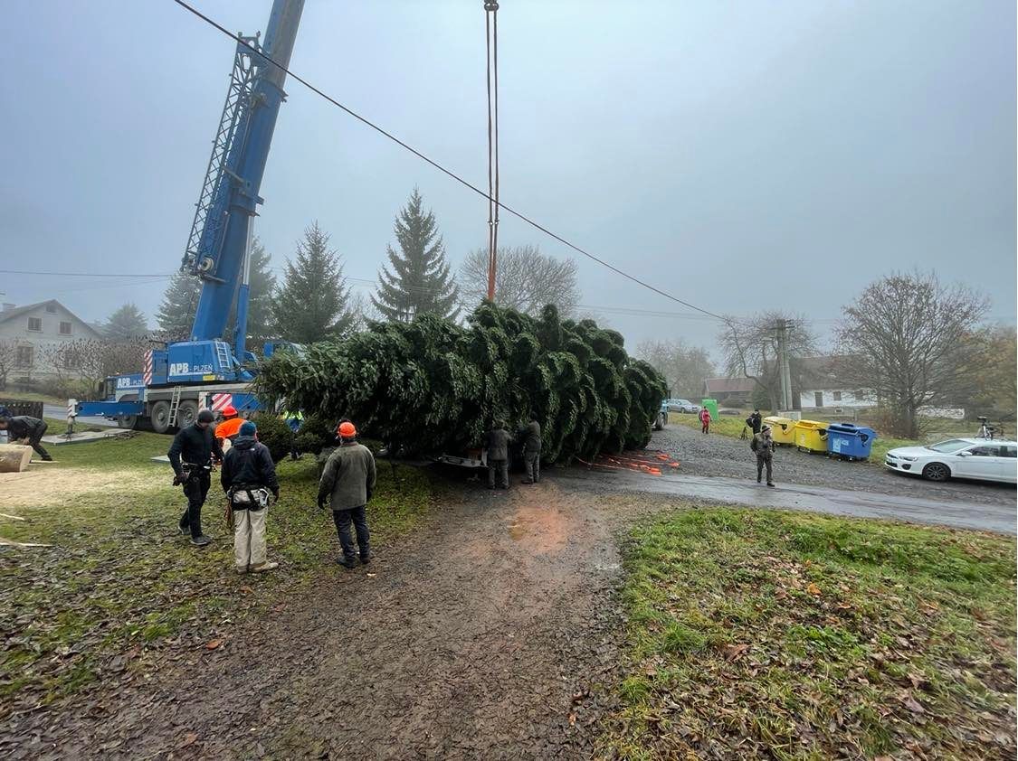 Vánoční strom na náměstí Republiky (foto: Jana Apolínová, 12.11.2021)