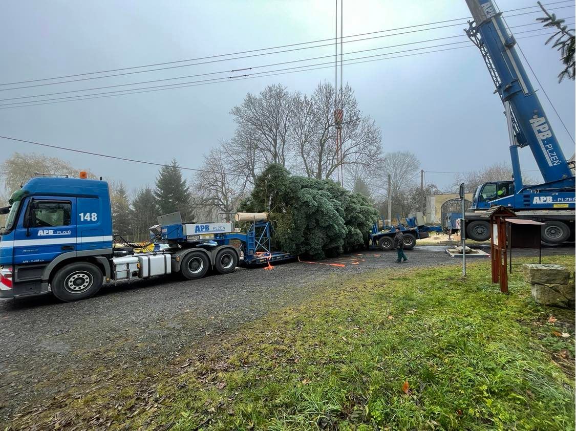 Vánoční strom na náměstí Republiky (foto: Jana Apolínová, 12.11.2021)