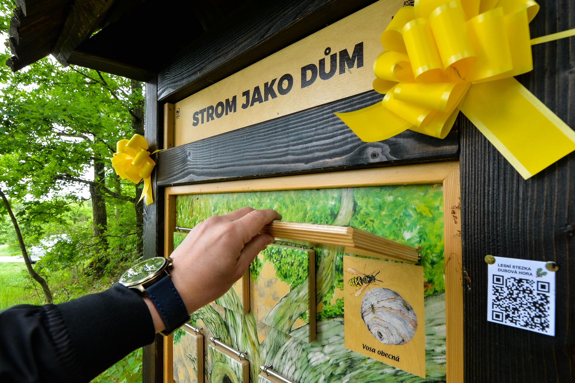 Plzni přibyla nová naučná stezka na Dubové hoře (foto: M. Pecuch, 26.5.2022)