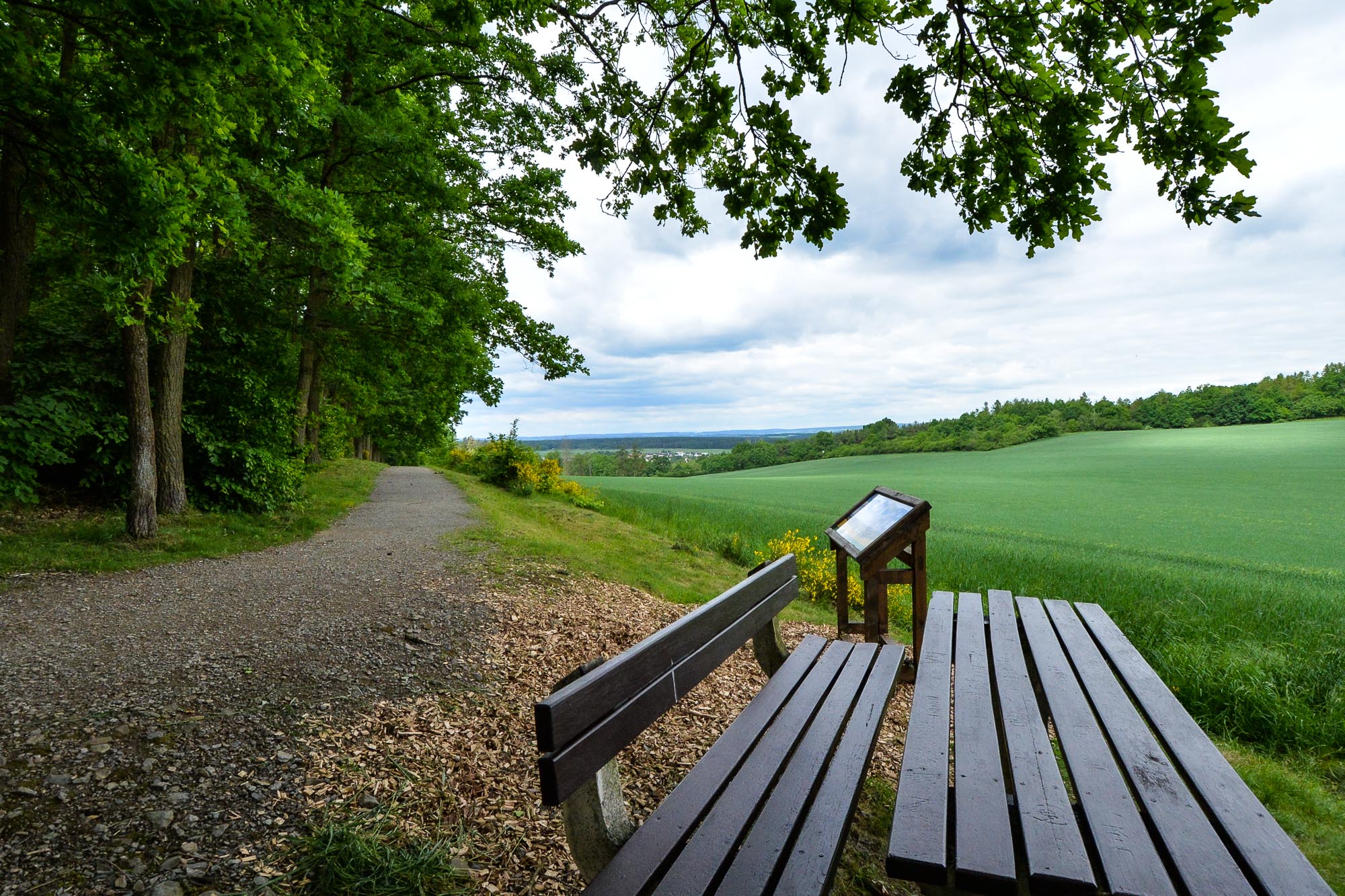 Plzni přibyla nová naučná stezka na Dubové hoře (foto: M. Pecuch, 26.5.2022)