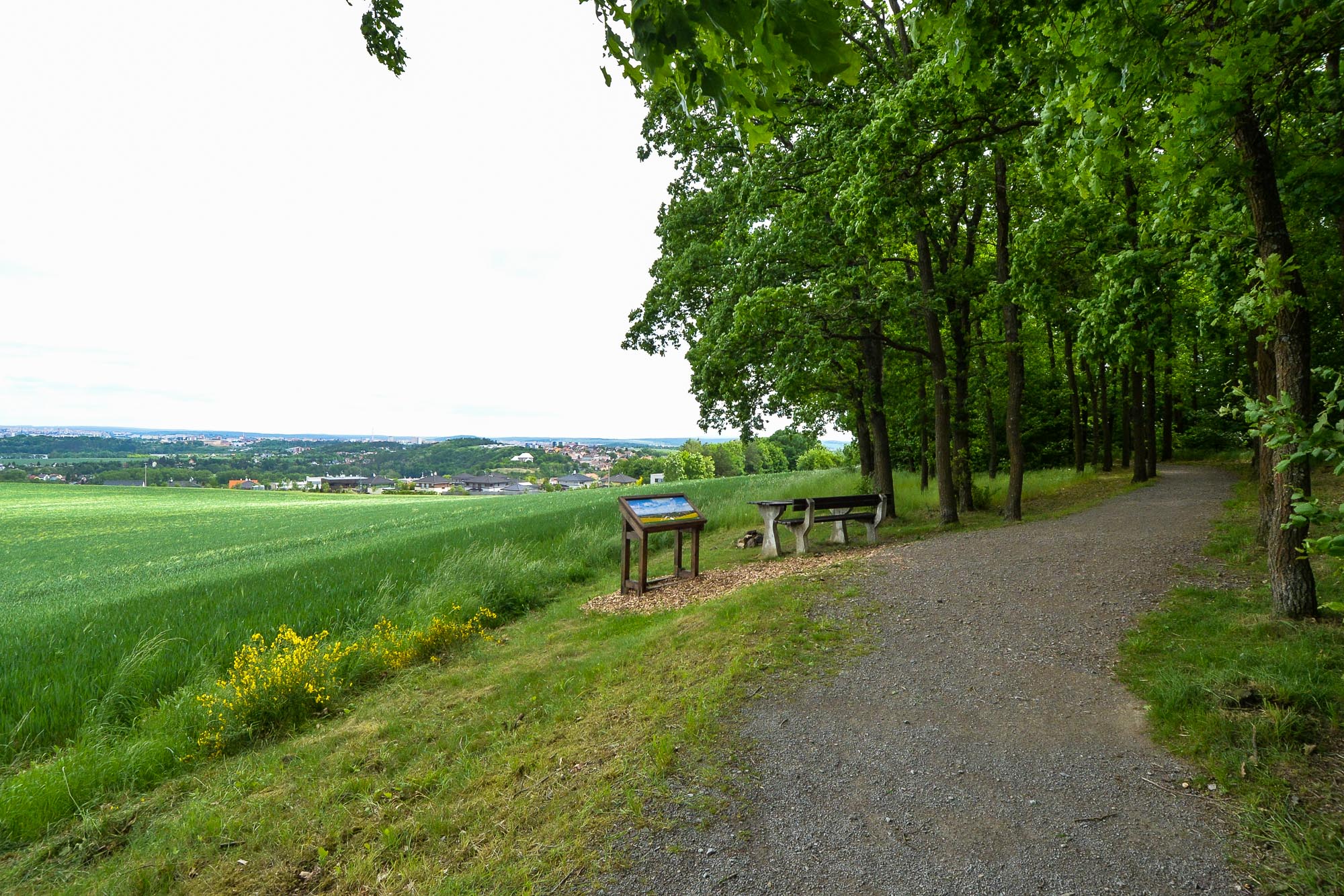 Plzni přibyla nová naučná stezka na Dubové hoře (foto: M. Pecuch, 26.5.2022)