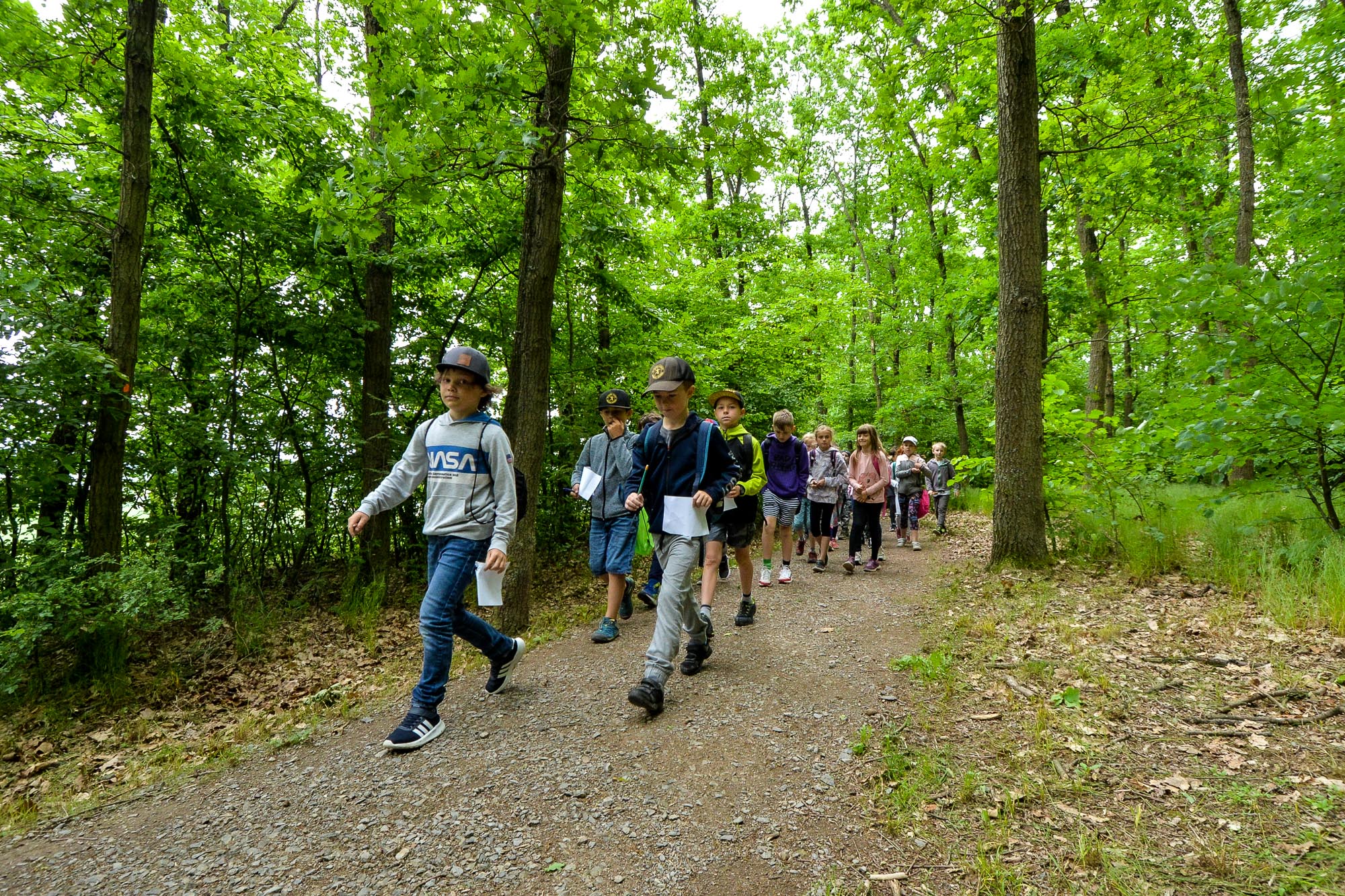 Plzni přibyla nová naučná stezka na Dubové hoře (foto: M. Pecuch, 26.5.2022)