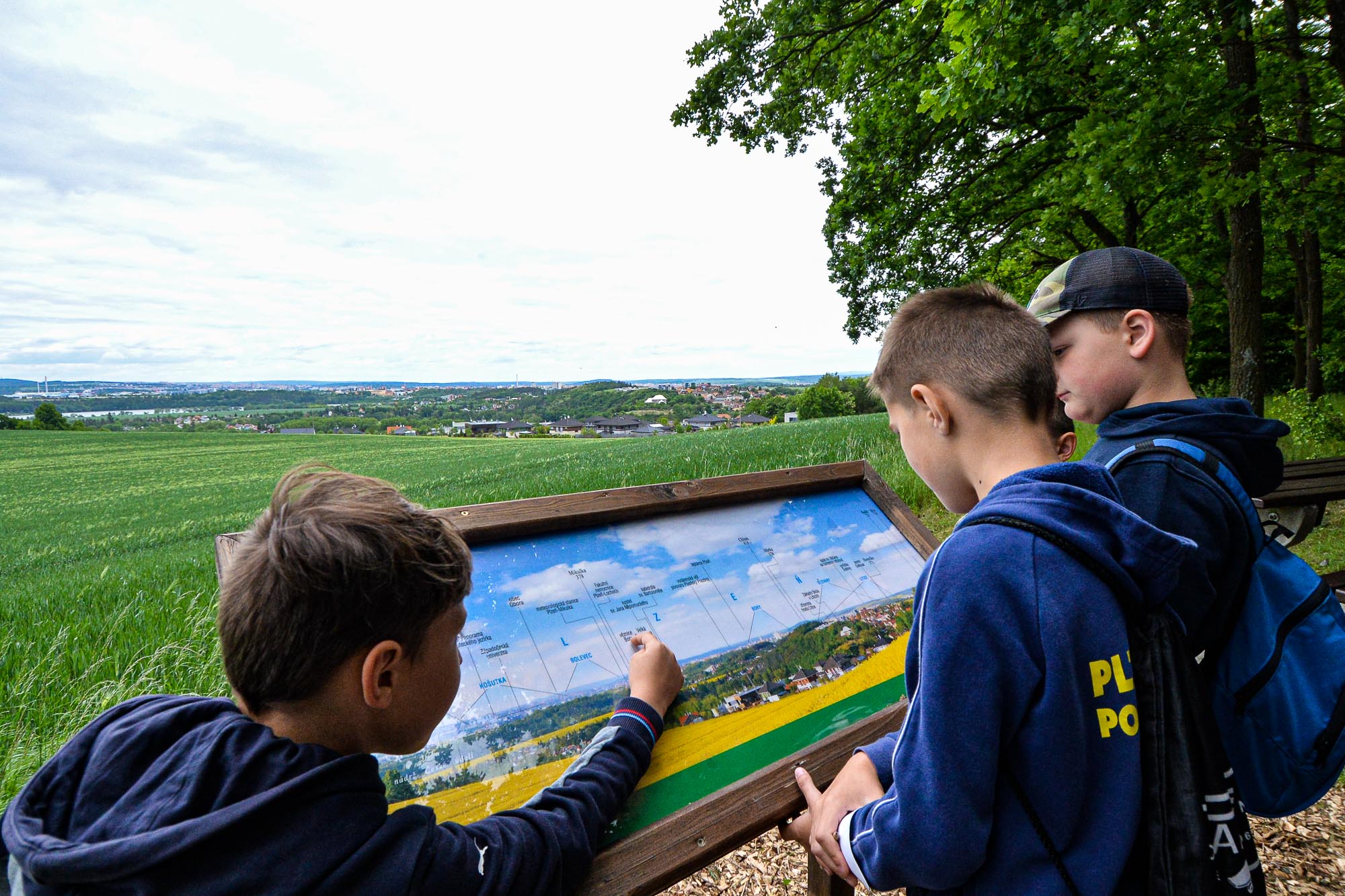 Plzni přibyla nová naučná stezka na Dubové hoře (foto: M. Pecuch, 26.5.2022)