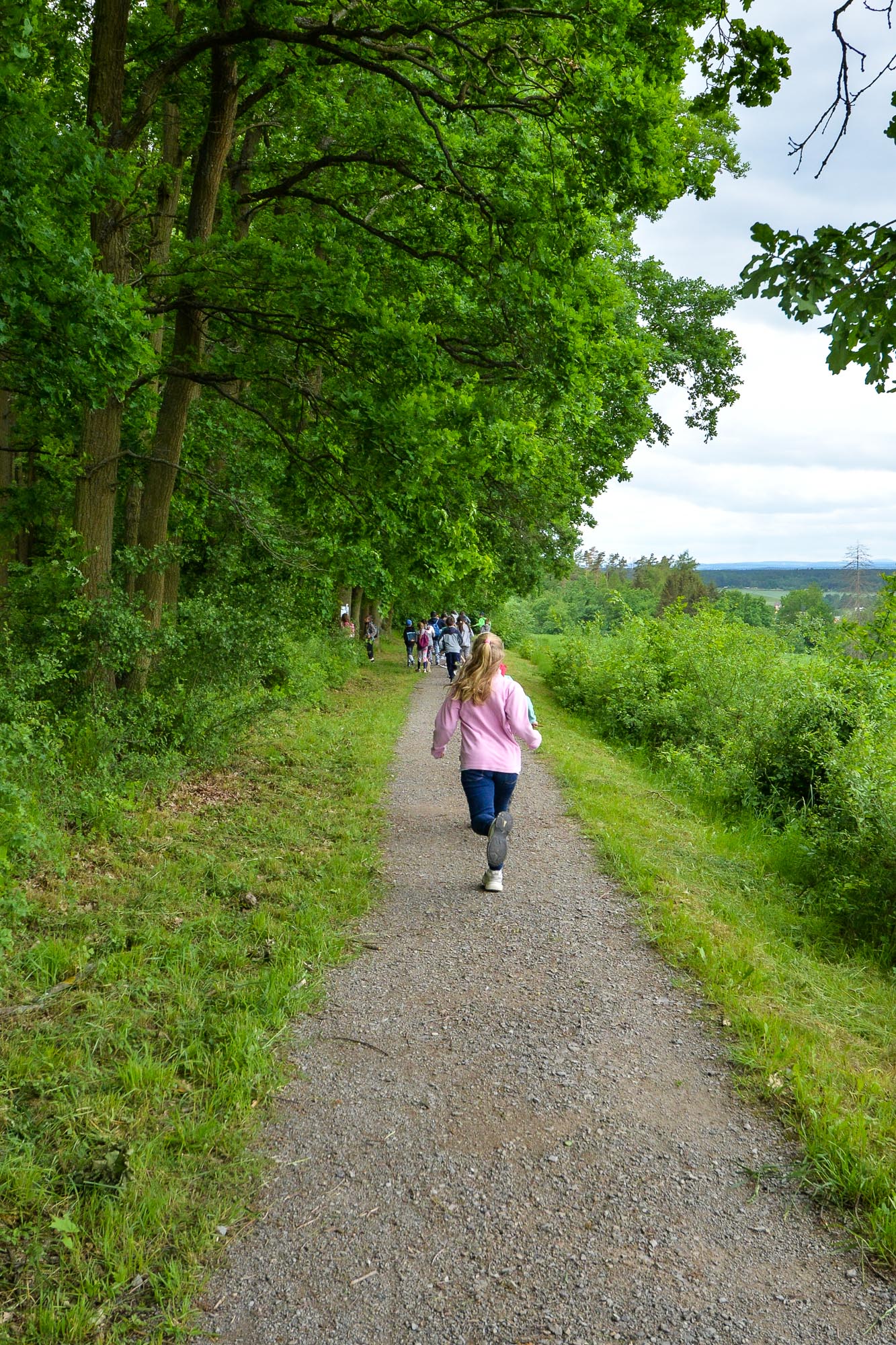 Plzni přibyla nová naučná stezka na Dubové hoře (foto: M. Pecuch, 26.5.2022)