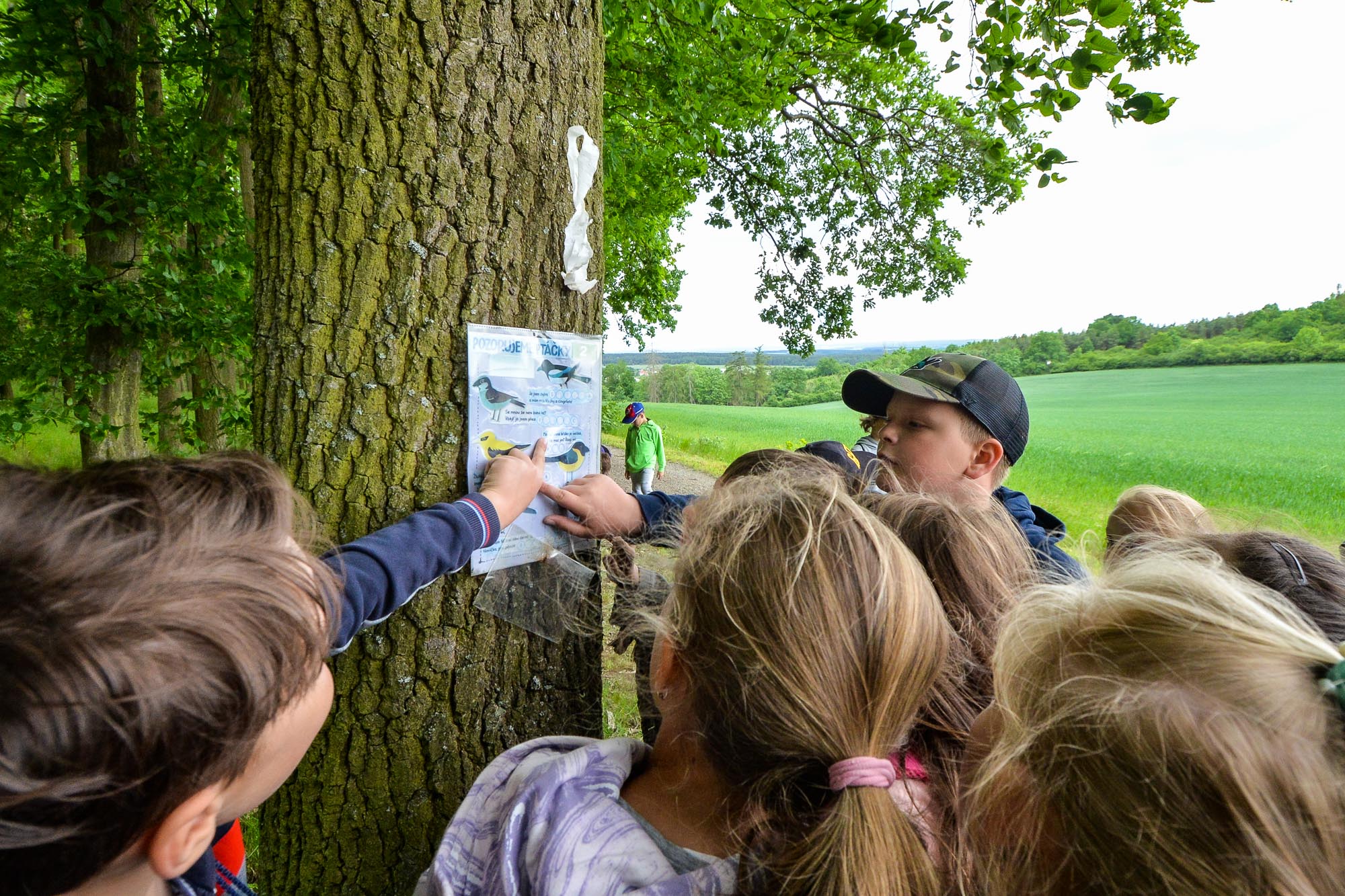 Plzni přibyla nová naučná stezka na Dubové hoře (foto: M. Pecuch, 26.5.2022)