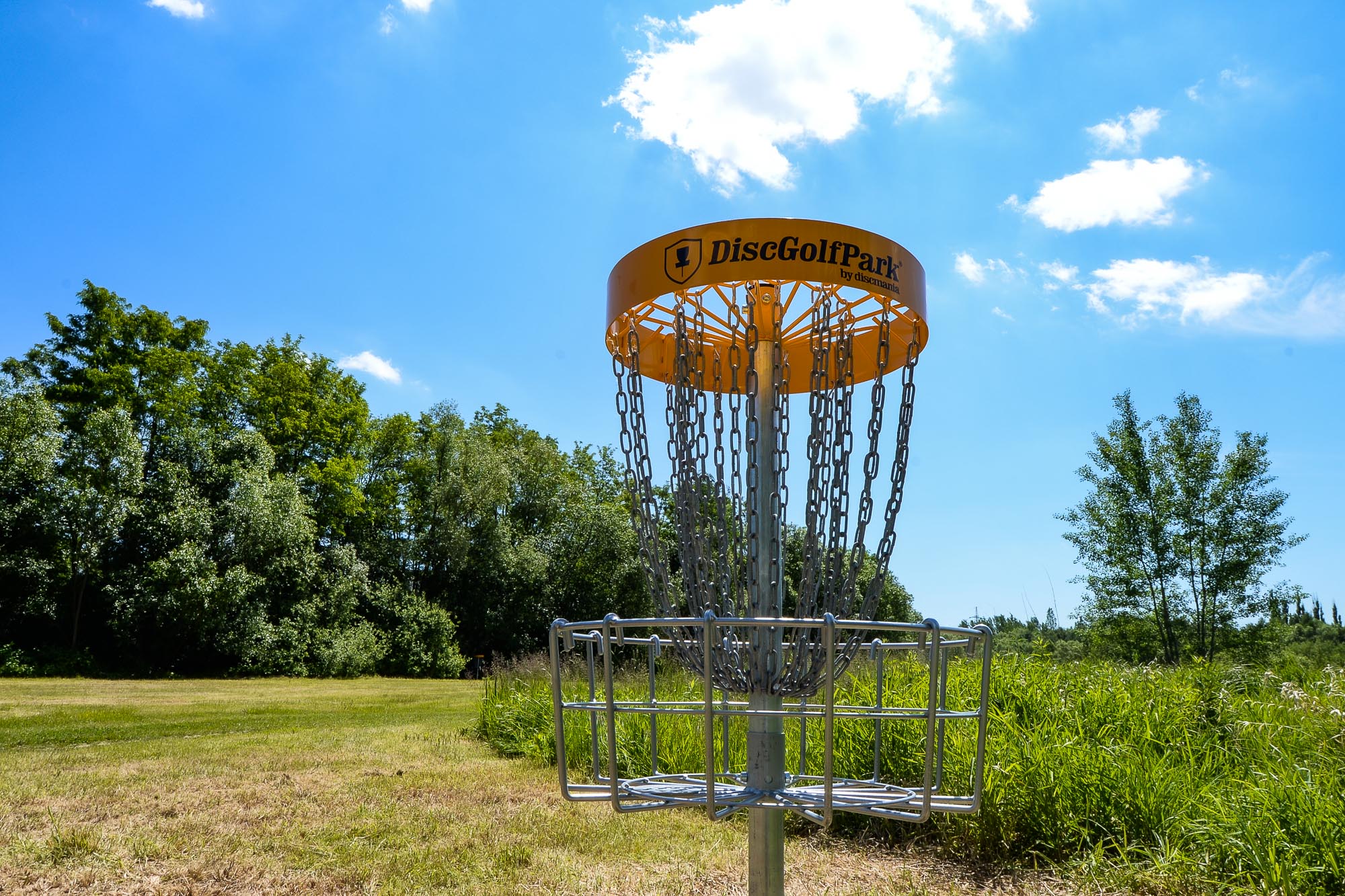 V Plzni vzniklo další discgolfové hřiště pod Škoda sport parkem