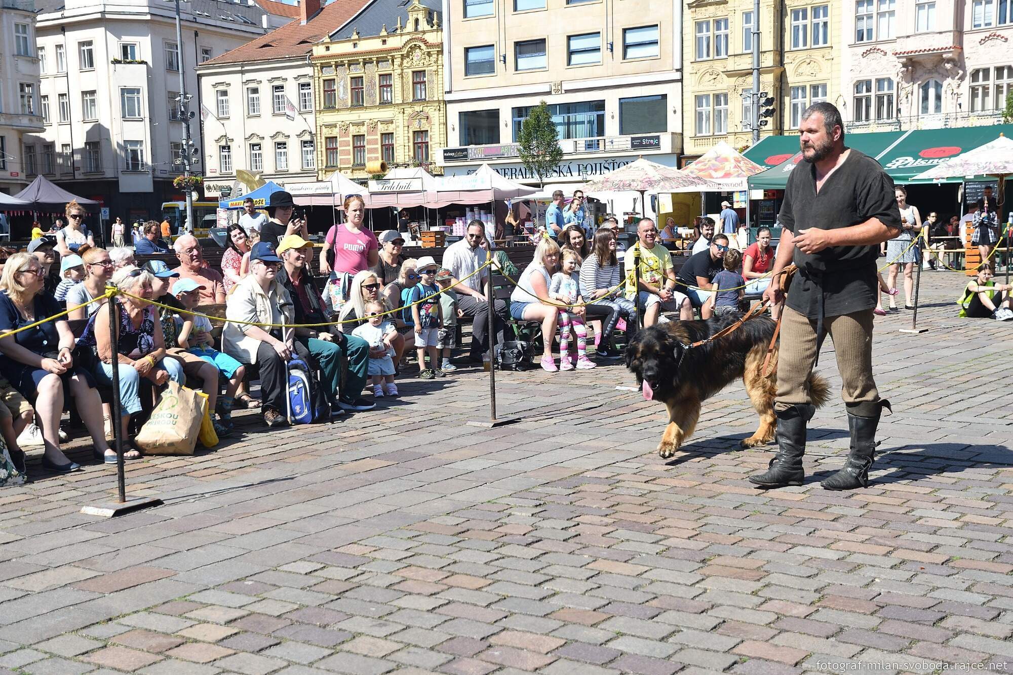 Pestrý program Historického víkendu, jenž se od pátku do neděle konal na několika místech v centru a Plzeňany přenesl do dob dávno minulých, přilákal tisíce nadšených diváků. Vláda krále Jana Lucemburského nabídla atmosféru z doby zásnub české princezny Markéty Lucemburské s vévodou Jindřichem Dolnobavorským. Vrcholem oslav byla sobota, kdy městem prošel průvod plzeňských strašidel, večer zakončila velkolepá ohňová show a pyromuzikál, tedy ohňostroj s ohnivými prvky za doprovodu hudby. (foto: M. Svoboda, 12.6.2022)