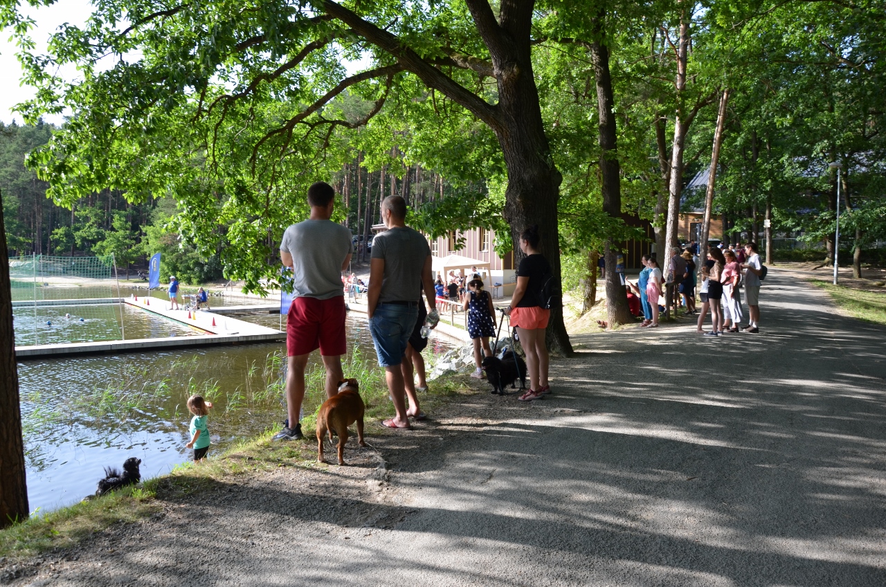 První ročník mezinárodního turnaje ve vodním pólu O pohár starostky Městského obvodu Plzeň 1 otevřel sezonu tohoto sportu v nově opravených prostorách u Seneckého rybníka. Na unikátním venkovním hřišti se v sobotu 18. června 2022 utkaly čtyři týmy juniorů do 16 let, vítězný pohár si odvezli hráči z německého Weidenu. Plzeňský tým Klubu vodních sportů Plzeň (KVS) – vodní pólo vybojoval třetí místo. (foto: E. Kriegerová, 18.6.2022)