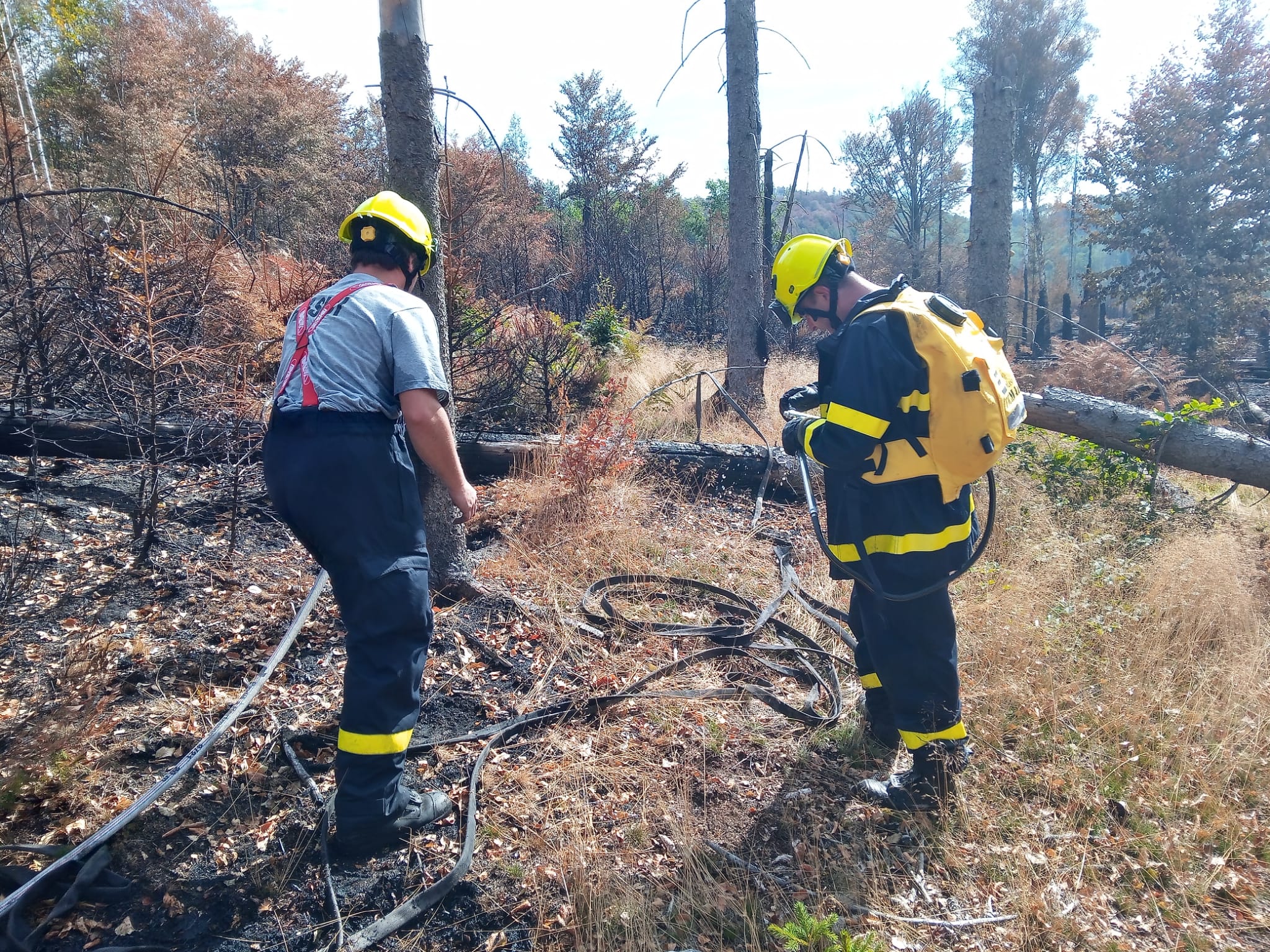 Dobrovolní hasiči z Plzně pomáhali při požáru v Hřensku