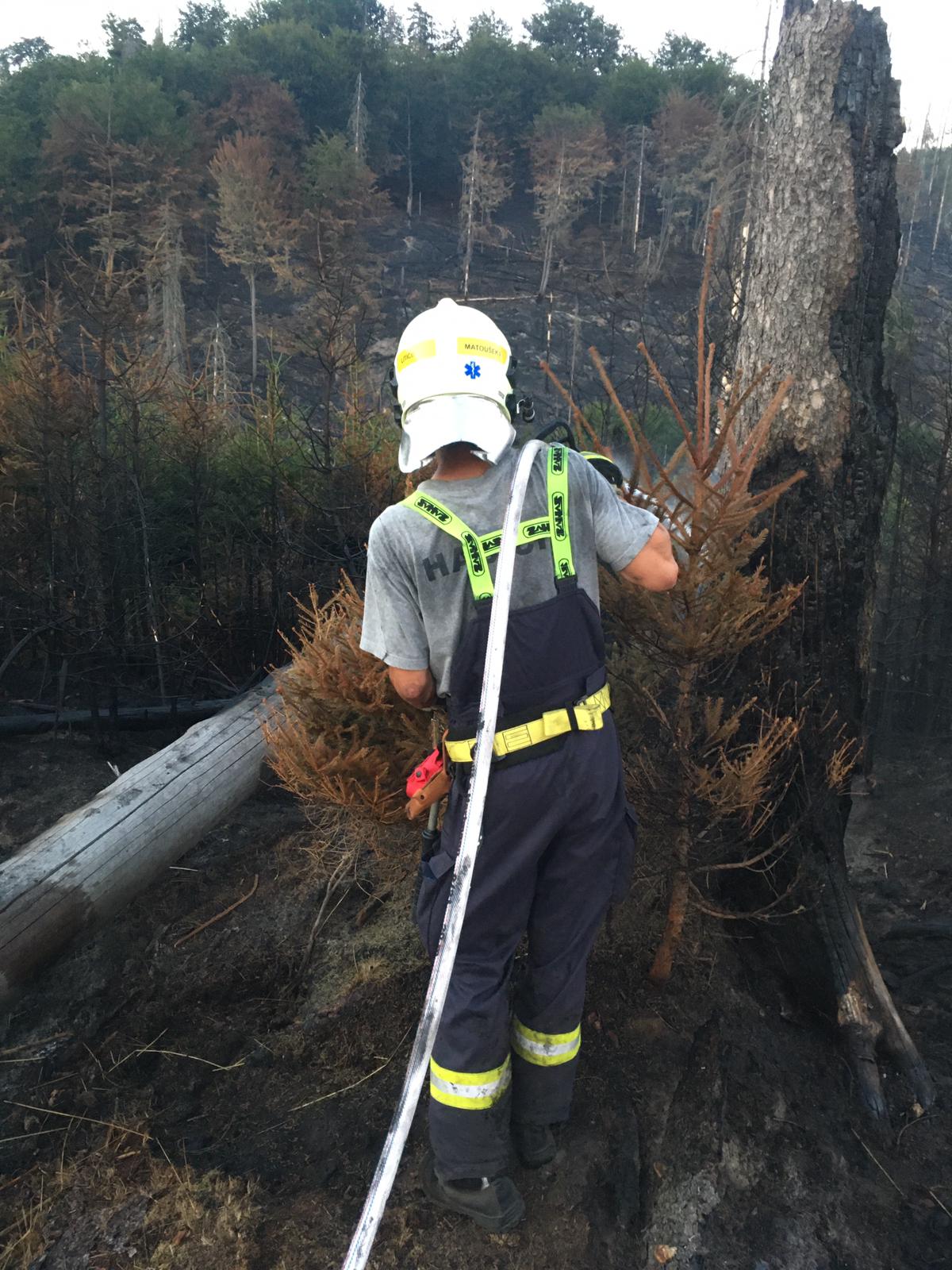 Dobrovolní hasiči z Plzně pomáhali při požáru v Hřensku