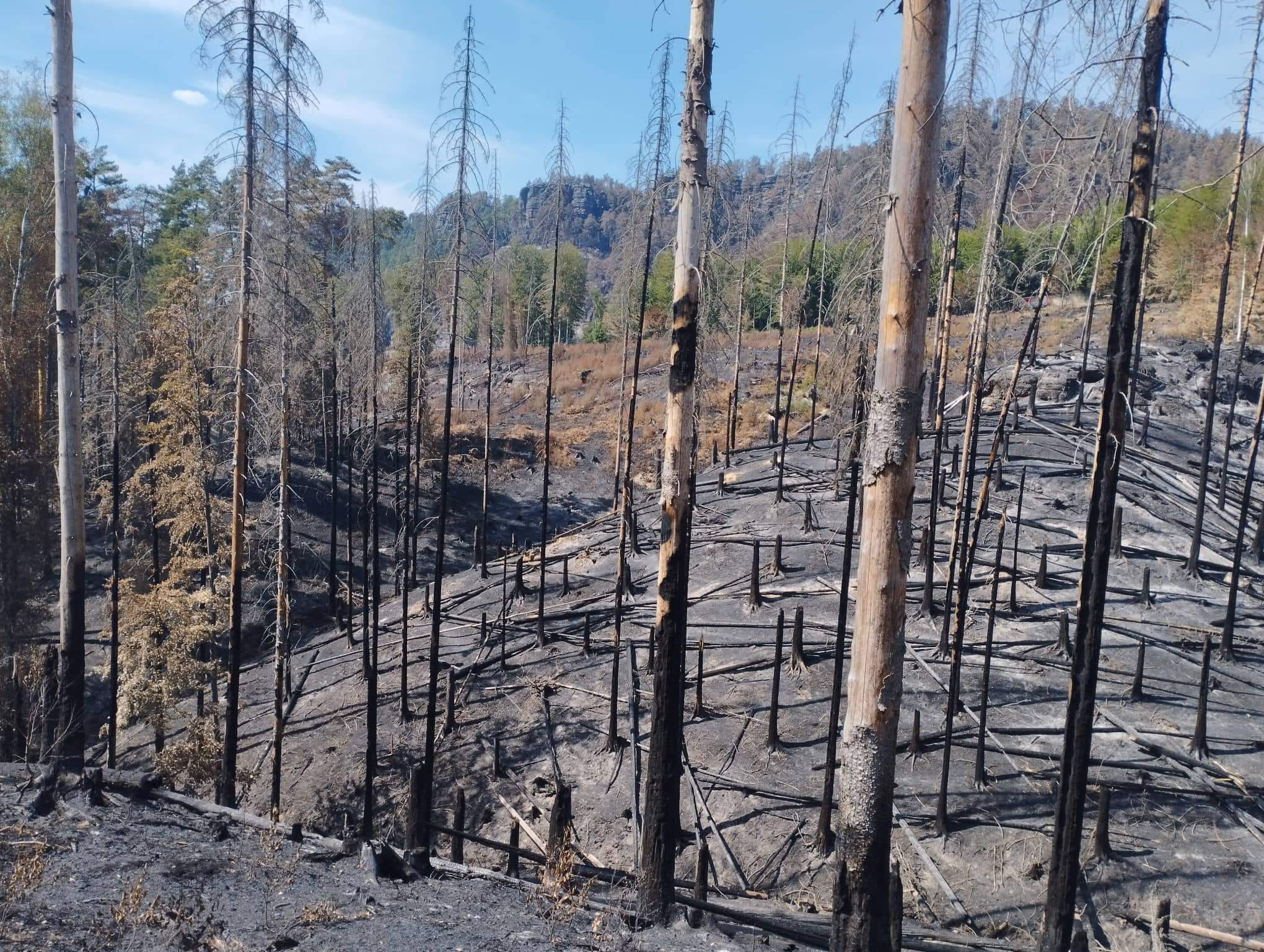 Dobrovolní hasiči z Plzně pomáhali při požáru v Hřensku