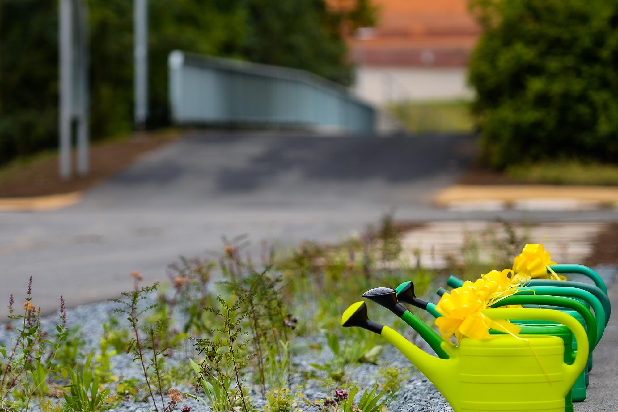 Zrevitalizovaný park za OC Plzeň Plaza se otevřel veřejnosti (foto: M. Pecuch, 19.8.2022)