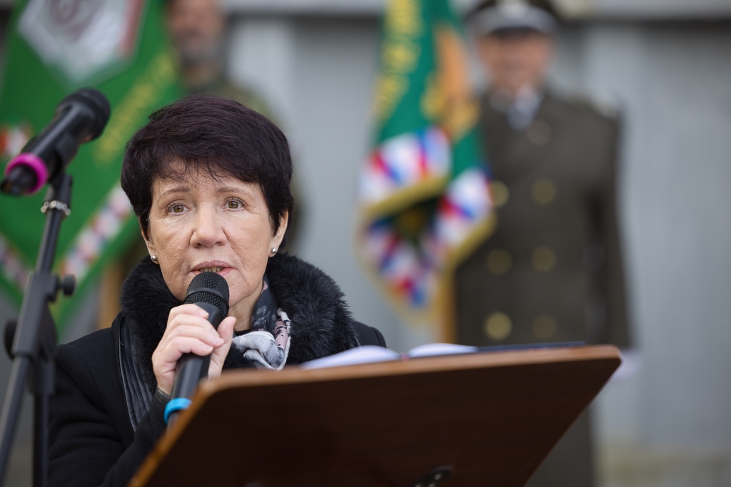 Na několika místech v Plzni dnes lidé uctili památku válečných i současných hrdinů a obětí válek, právě 11. listopad se stal celosvětově uznávaným Dnem válečných veteránů. Vzpomínkových setkání se zúčastnili také představitelé města Plzně a městských obvodů. (foto: R.Muchka, 11.11.2022)